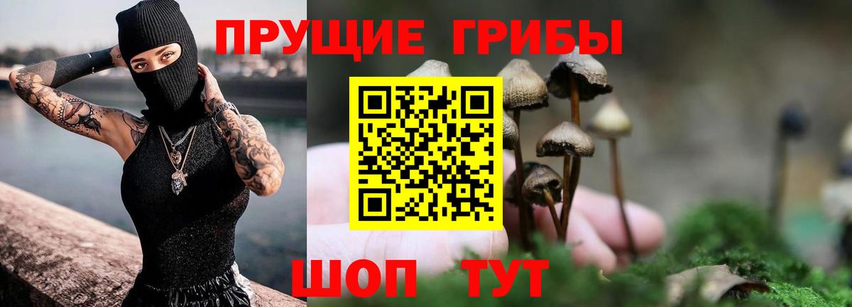 Галлюциногенные грибы Psilocybe Санкт-Петербург